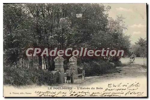 Cartes postales Le Pouliguen l'Entree du Bois