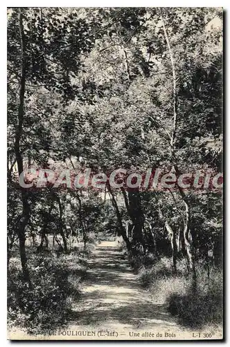 Cartes postales Le Pouliguen L Inf Une allee du Bois