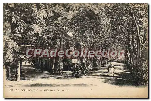 Cartes postales Le Pouliguen Allee des Lilas