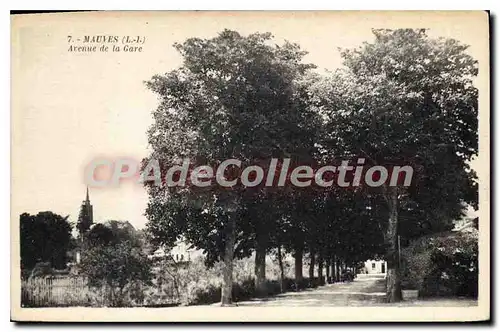 Cartes postales Mauves L I Avenue de la Gare