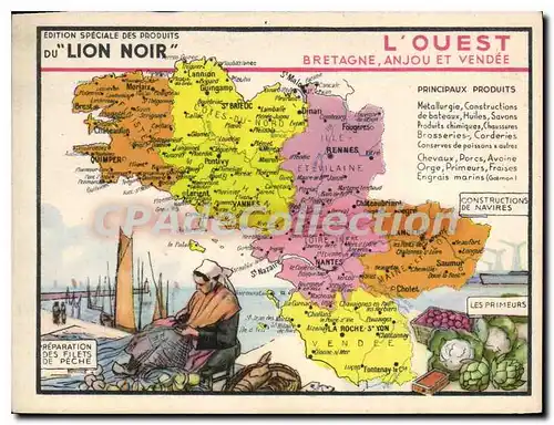 Cartes postales L'Ouest Bretagne Anjou et Vendee Lion noir pr�paration des filets de peche constructions de navi