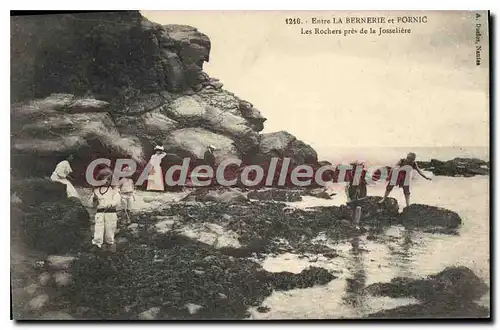 Cartes postales Entre la Bernerie et Pornic Les Rochers pres de la Josseliere