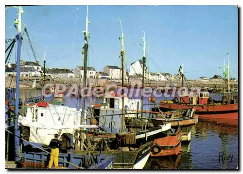 Cartes postales moderne La Turballe le port