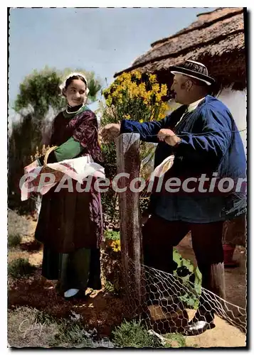 Cartes postales moderne Au Pays Maraichin Depart pour le march� Rapporte nous dan Ine belle echaudisse do marchaie puto