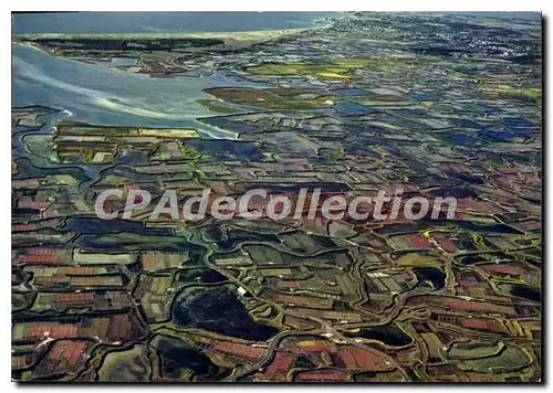 Cartes postales moderne Le Pays guerandais vue aerienne des marais salants etrange mosaique ou se distingue le quadrill