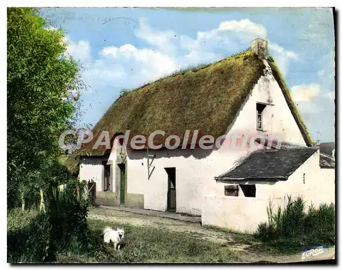 Cartes postales moderne La Grand Briere L Atl Chaumiere de l'Ile Fedrun de ces chaumieres sont les Maitres ouvriers qui