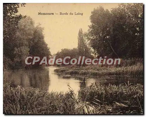 Cartes postales Nemours Bords du Loing