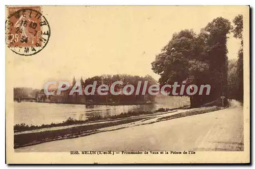 Cartes postales Melun S et M Promenade de Vaux et la Pointe de l'Ile