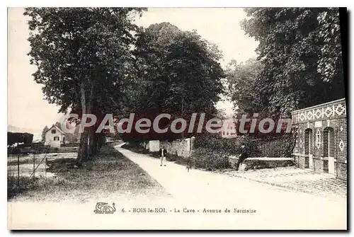 Cartes postales Bois le Roi La Cave Avenue de Sermaize