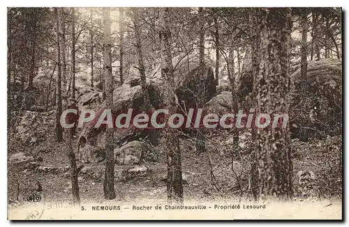 Cartes postales Nemours Rocher de Chaintreauville Propriete Lesourd