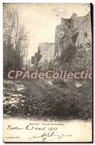 Ansichtskarte AK Provins Vue des Fortifications