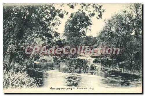 Cartes postales Montigny sur Loing Un coin du Loing