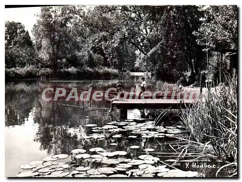 Cartes postales moderne Au Long du Loing La Peche sur le Loing pres du pont de Bagneaux