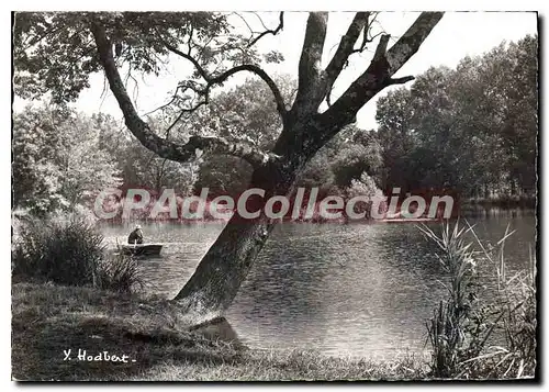 Cartes postales moderne Environs de Nemours Bagneaux sur Ling (Seine et Marne) La Peche sur le Loing pres du moulin de