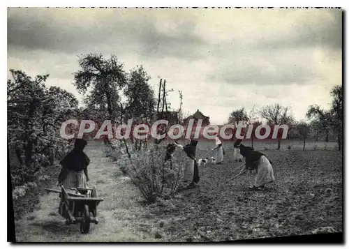 Cartes postales moderne Abbaye Notre Dame Jouarre (Seine et Marne) Les Moniales qu travail