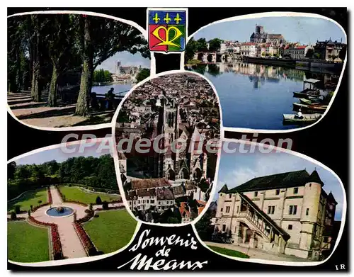 Cartes postales moderne Meaux (S et M) La Promenade des Trinitaires La Marne et le Vieux pont La Cathedrsale Saint Etie