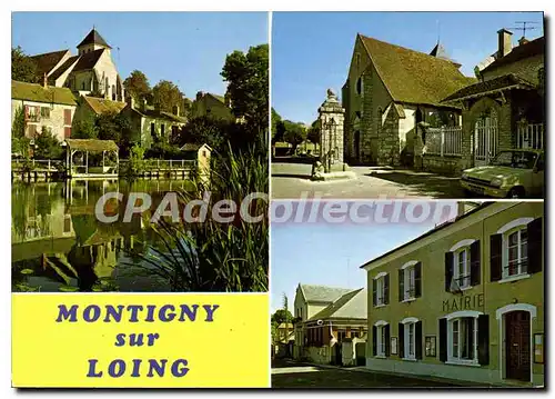 Cartes postales moderne Montigny sur Loing Les Bords du Loing L'Eglise La Mairie