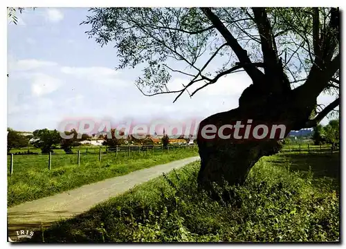 Cartes postales moderne Coulommiers (Seine et Marne) Sur la route du hameau de Teiangle