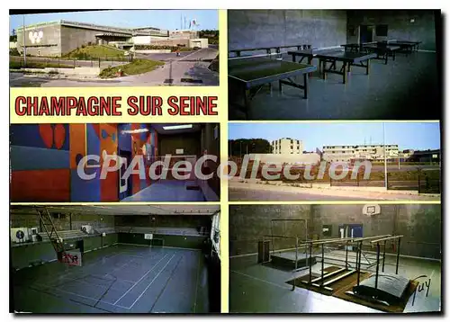 Moderne Karte Champagne (Seine et Marne) Divers aspects du gymnase Leo Lagrange CES Fernand Gregh