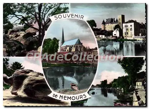 Cartes postales moderne Souvenir de Nemours (S et M)