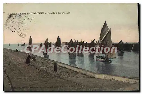 Cartes postales Les Sables d'Olonne Pareils a des Oiseaux