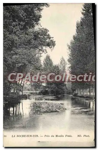 Cartes postales La Roche sur Yon Pres du Moulin Frais