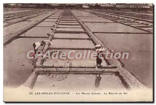 Cartes postales Les Sables d'Olonne Les Marais Salants