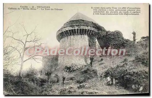 Cartes postales Vendee Tiffauges Chateau Barbe Bleue