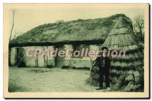 Cartes postales Les Plus beaux paysages de la Vendee Maraichine