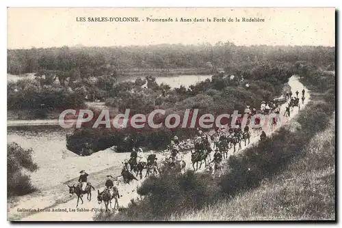 Cartes postales Les Sables d'Olonne Promenade � Anes dans la Foret de la Rudeliere