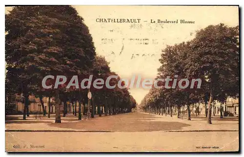 Ansichtskarte AK Chatellerault Le Boulevard Blossac