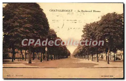 Cartes postales Chatellerault Le Boulevard Blossac