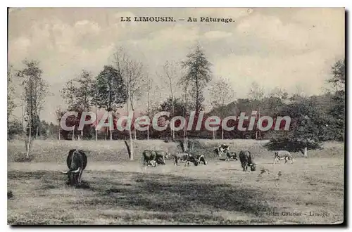 Cartes postales Le Limousin Au Paturage