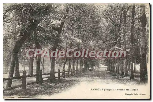 Cartes postales Lamarche Vosges Avenue des Tilleuls