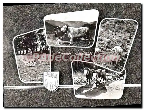 Cartes postales moderne Scenes Vosgiennes