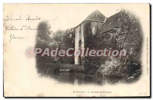 Cartes postales Bleneau Le Donjon du Chateau