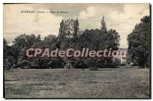 Cartes postales Bleneau Yonne Dans la Prairie