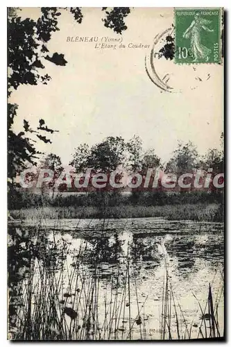 Cartes postales Bleneau Yonne L'Etang du Coudray