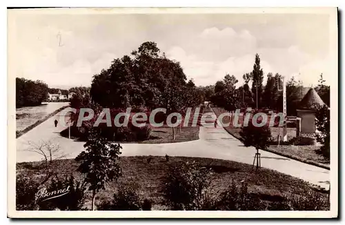 Ansichtskarte AK Auxerre Promenade de I'Arbre Sec