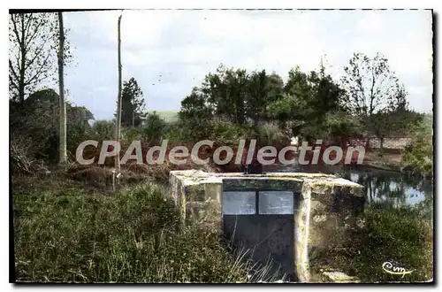 Cartes postales Malay le Grand Yonne Vue d'eau sur la Vanne et le vanage du Ru de Mendereau