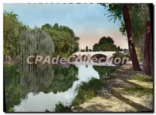 Cartes postales moderne Villeneuve sur Yonne Yonne La Fausse Riviere