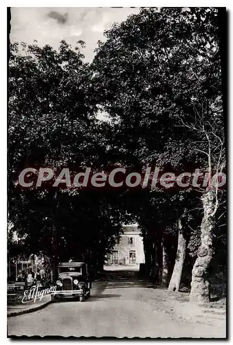 Cartes postales moderne Champigny sur Yonne Yonne l'Avenue de la Gare