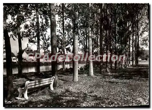 Moderne Karte Moneteau Yonne Les Bords de l'Yonne le Terrain de Camping