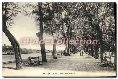 Cartes postales Bayonne Les Allees Marines
