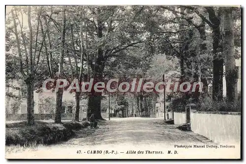 Cartes postales Cambo Basses Pyrenees Allee des Thermes