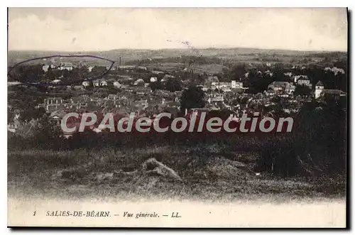 Cartes postales Salies de Bearn vue generale