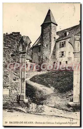 Cartes postales Salies de Bearn Ruines du Chateau Talleyrand Perigord