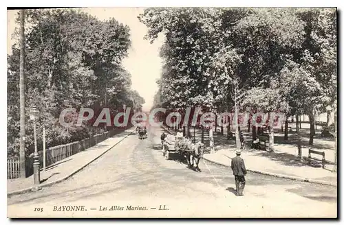 Cartes postales Bayonne Les Allees Marines