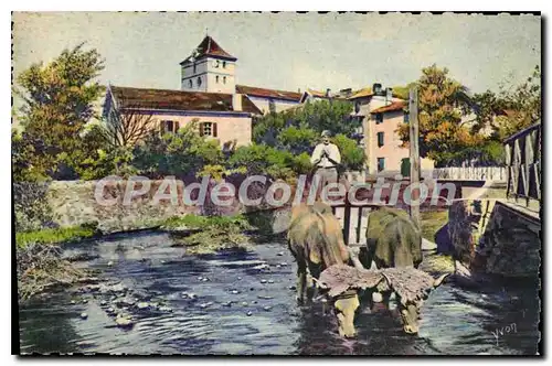 Cartes postales Espelette Basses Pyrenees Attelage Basque