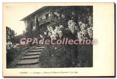 Cartes postales Cambo Arnaga Maison d'Edmond Rostand Les Lys